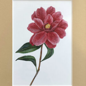 Camellia Giclee Print 8″ x 10″