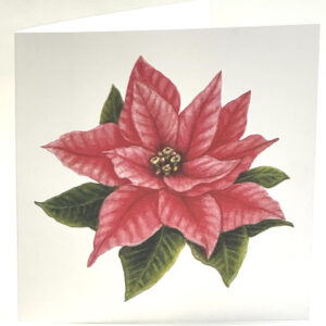 Poinsettia Card 6 x 6
