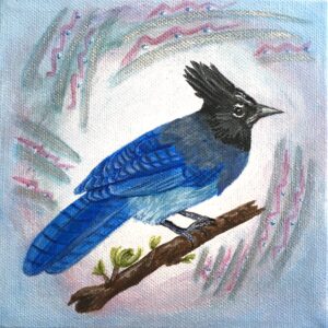 Steller’s Jay Song 6×6